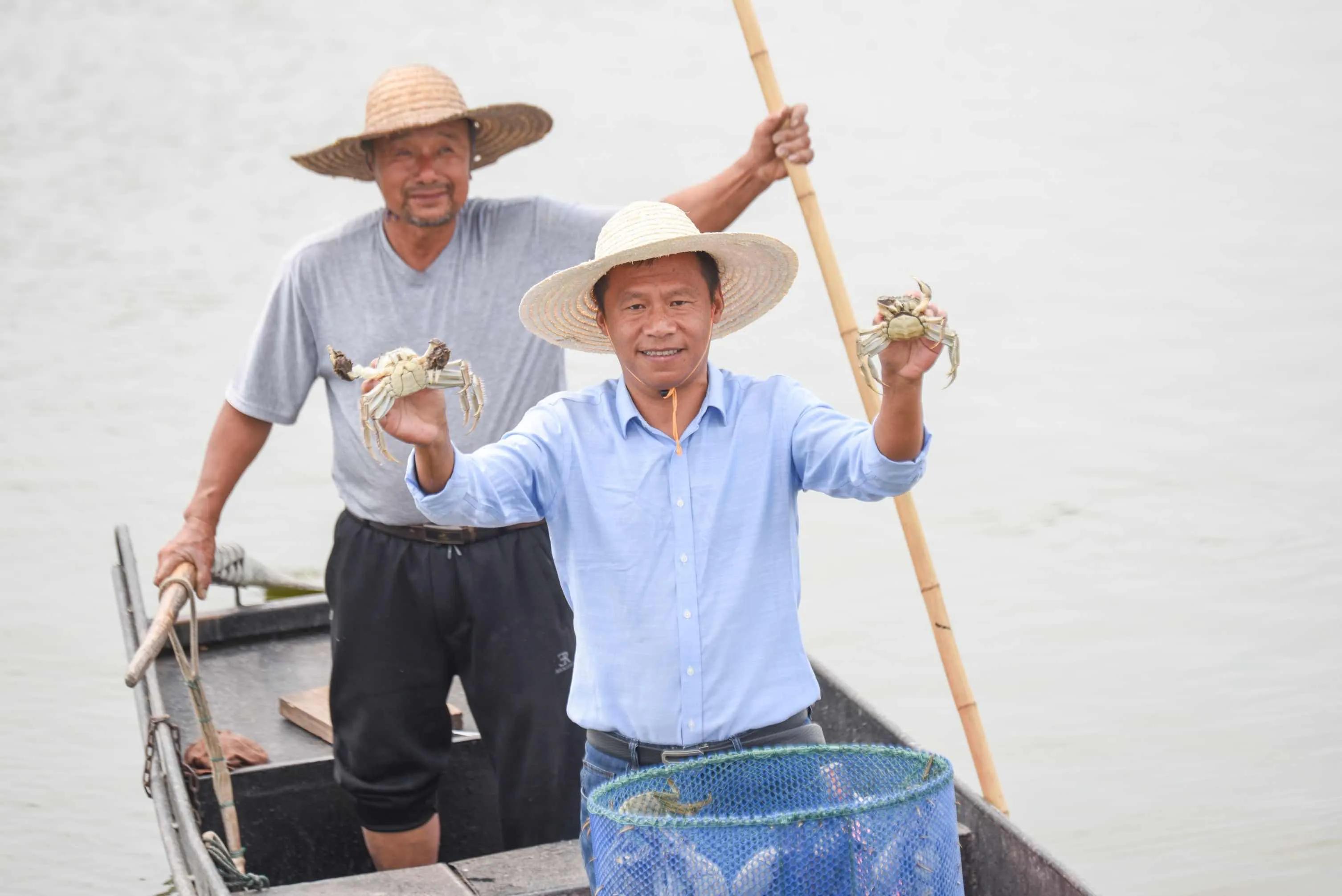 阳澄湖大闸蟹天猫旗舰店,天猫上的阳澄湖大闸蟹是真的么