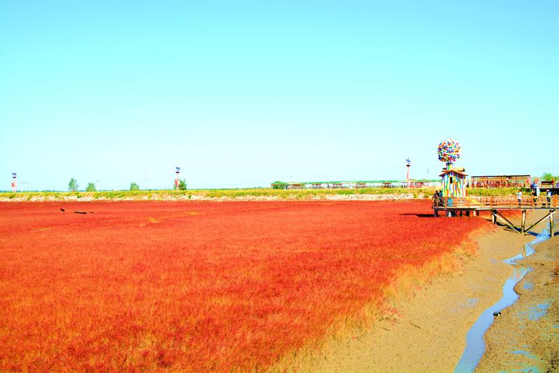 辽宁盘锦在哪个地方,去盘锦旅游哪里好