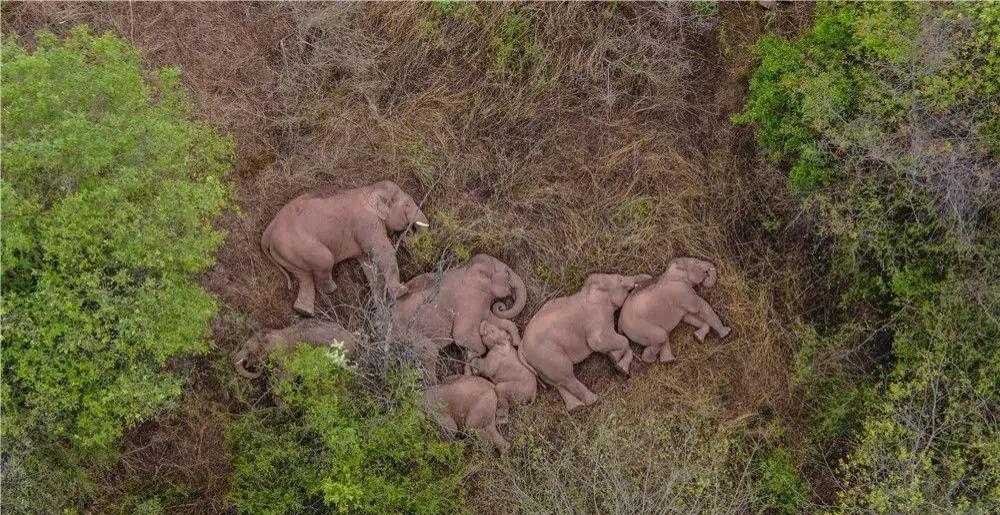 五伦关系的父子包括哪些方面,五伦关系中的父子之伦的含义