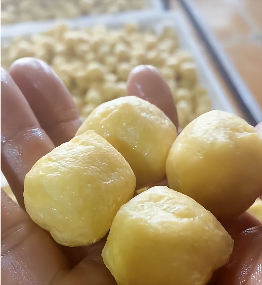 小型豆浆机做豆腐全过程,豆腐机能做豆泡吗