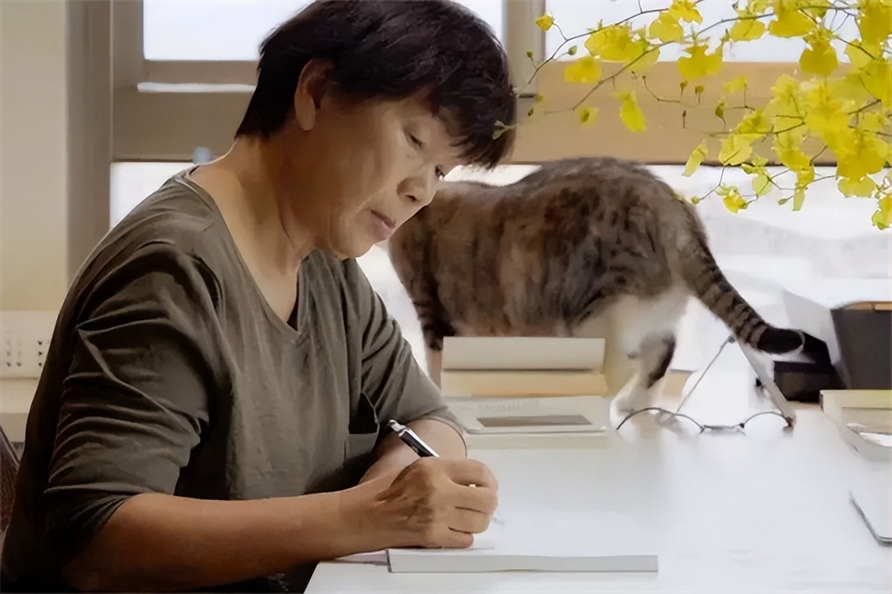 台湾作家龙应台:为港独暴徒洗地,选择性失明暴露了多少虚伪