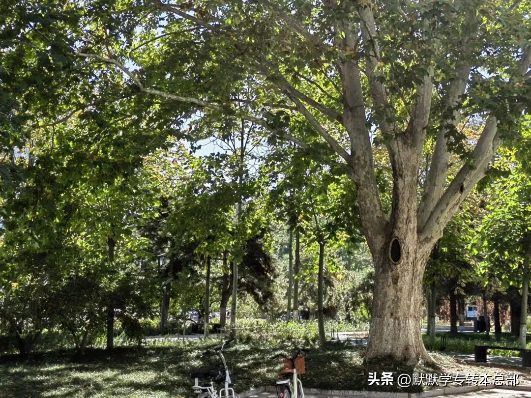 河南专升本报专业注意事项,山东专升本报名注意事项