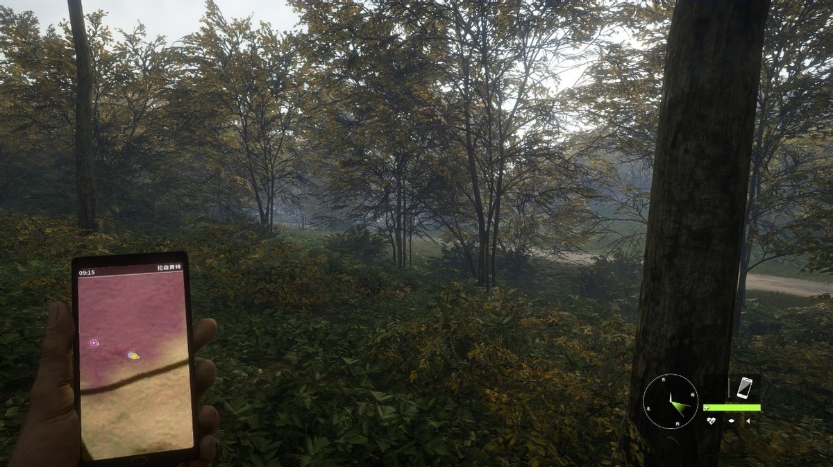 《猎人：荒野的呼唤》：风景优美的“真实狩猎模拟器”