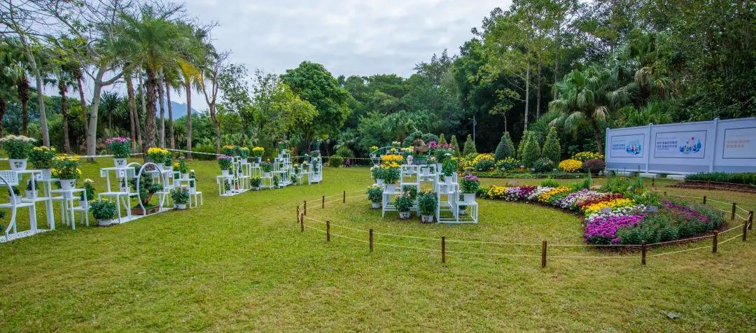 66万盆菊花东湖公园菊花展,东湖公园菊花展有哪些菊花