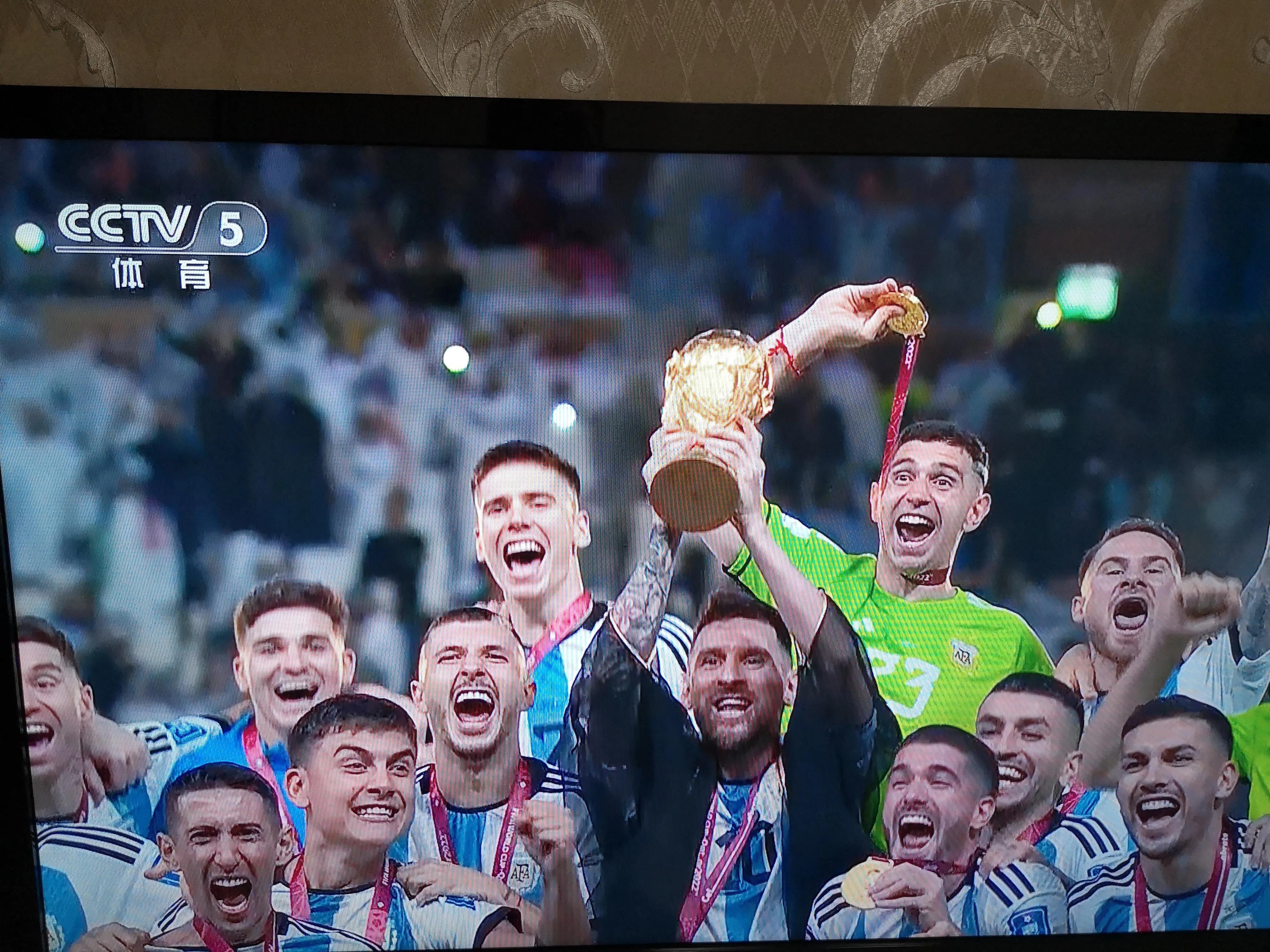 阿根廷队夺冠的跌宕起伏,回顾阿根廷队夺冠