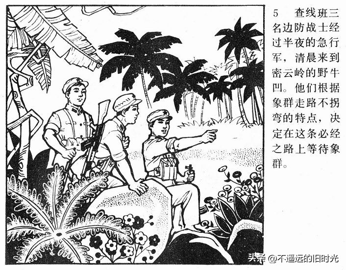 大象搬家,大象搬家河北