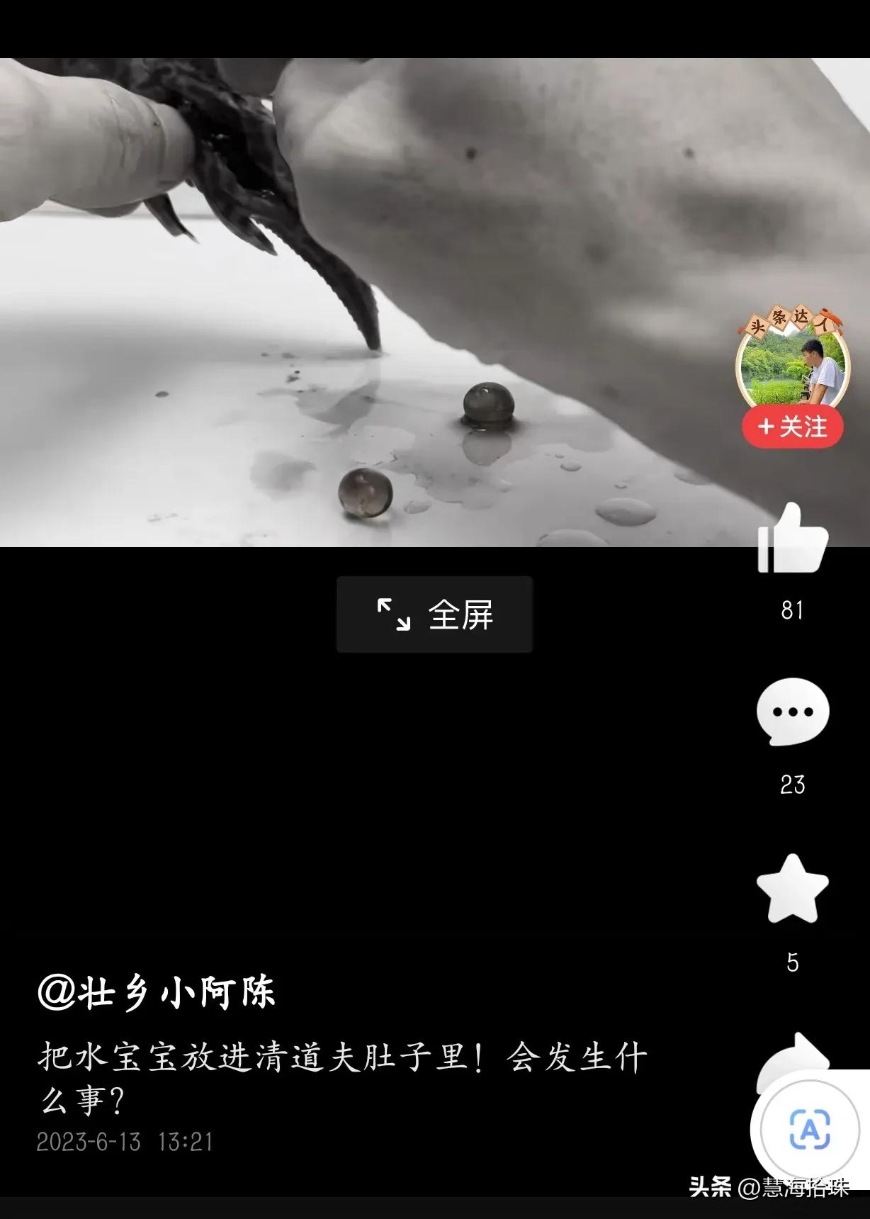 为什么有些人喜欢杀动物,为什么有人会虐猫或虐狗