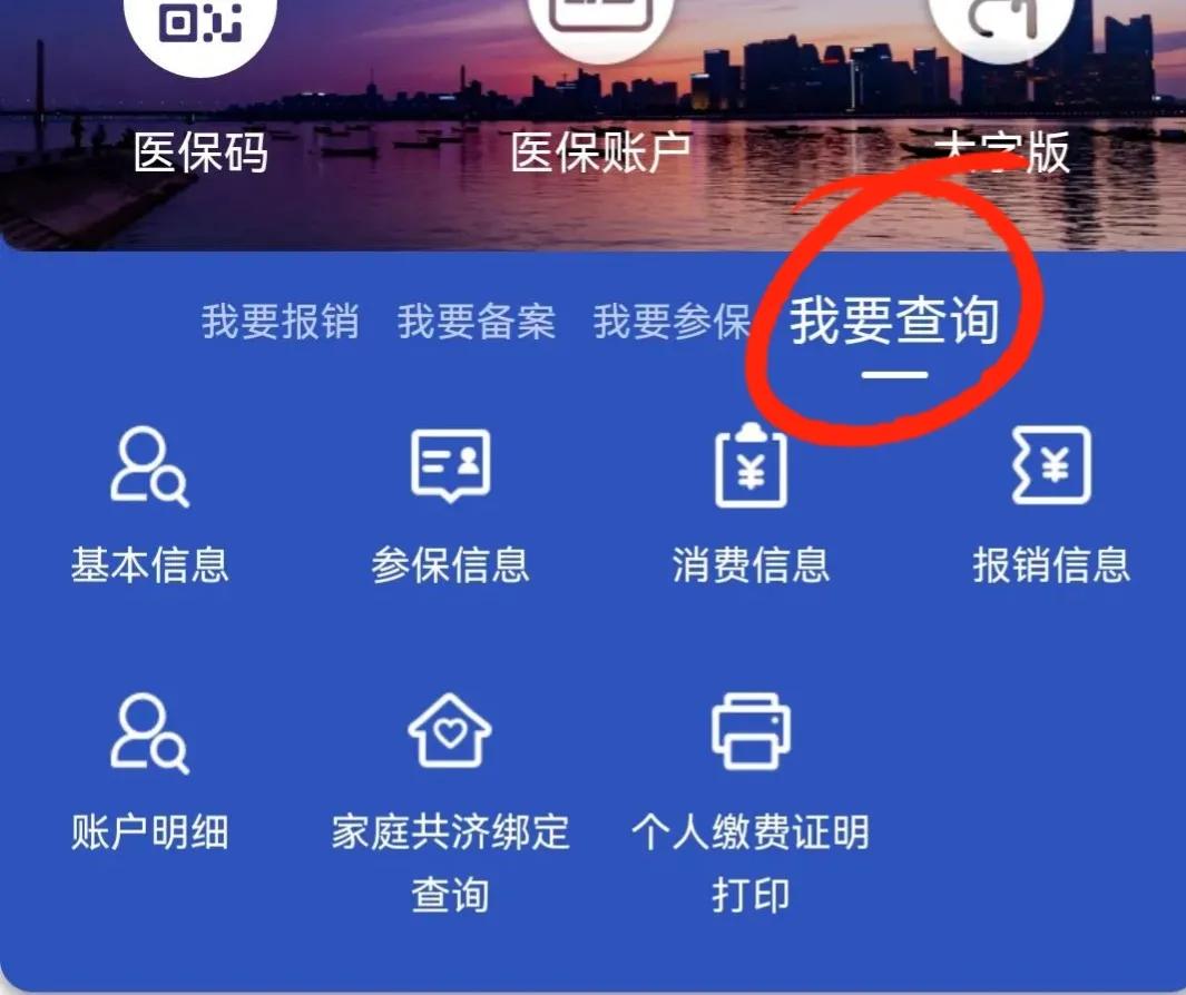 前几年医保缴费明细为什么无法查,交了两年医保怎么查不到缴费记录