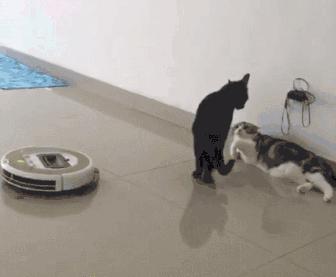 智能扫地机怎么选？照着去挑选保你不踩坑