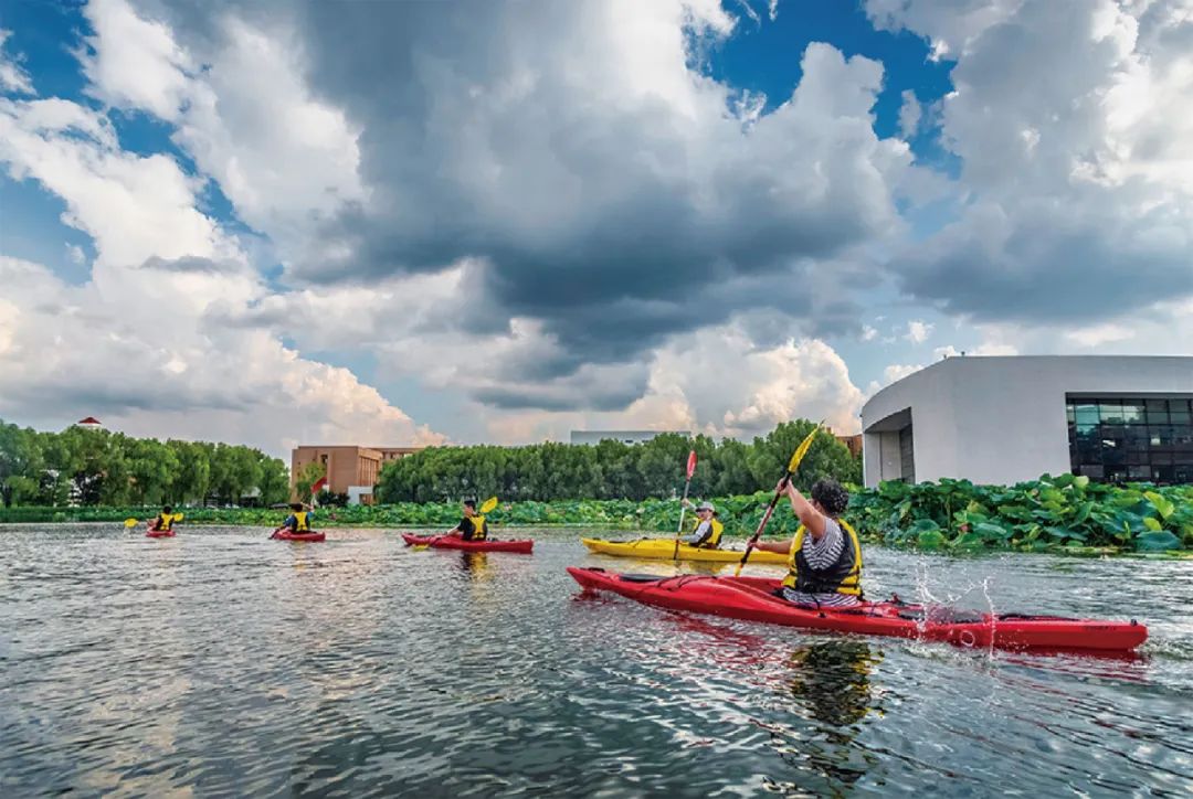 沈阳城市学院报考条件,沈阳城市学院2024年招生简章