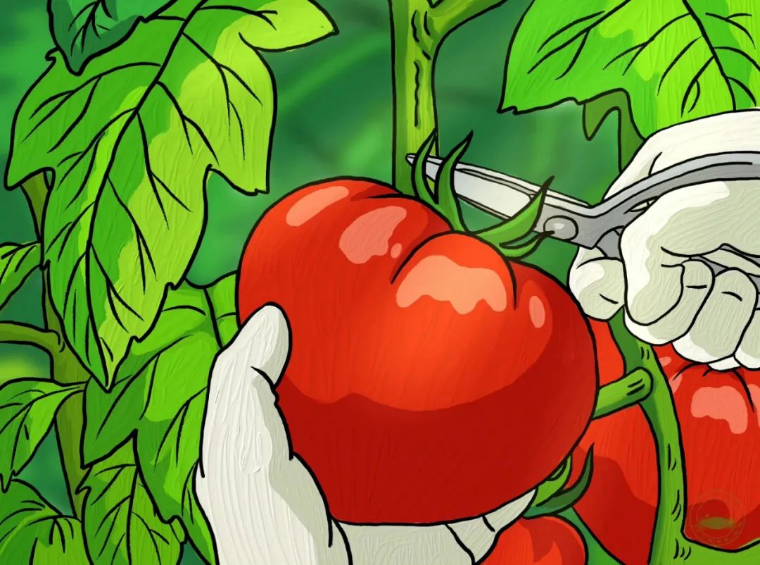 高清壁纸4k全屏宫崎骏天空之城,宫崎骏千与千寻壁纸超清全面屏