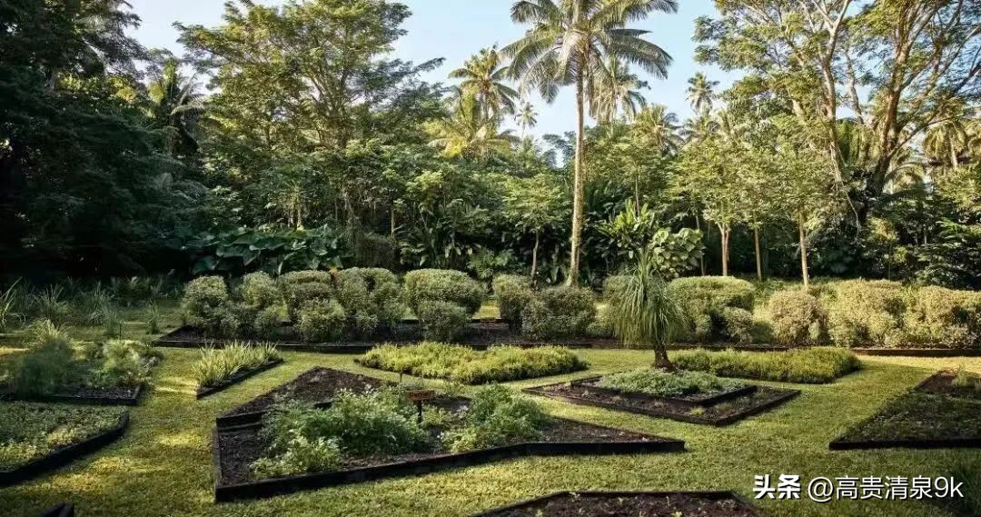 4月1恢复直航，马云刚去过的宝藏免签海岛藏不住了！