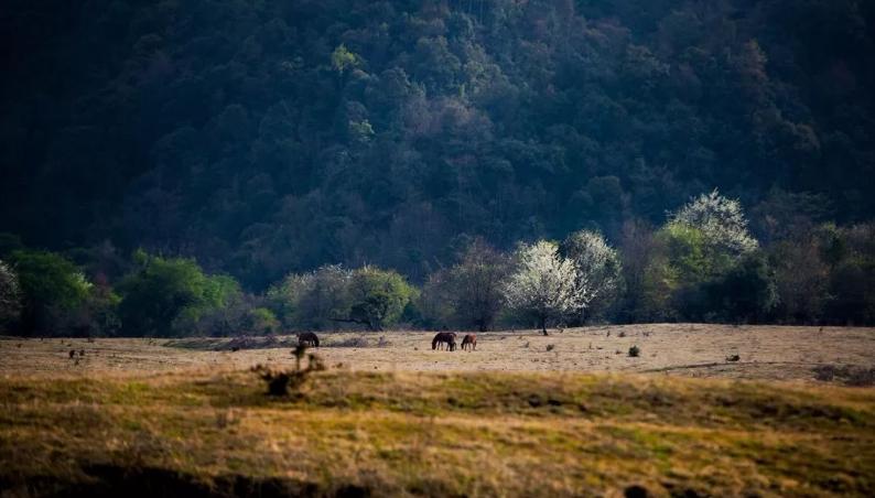 人少景美！云南十一中秋10个小众旅行地，不看人头不掉坑