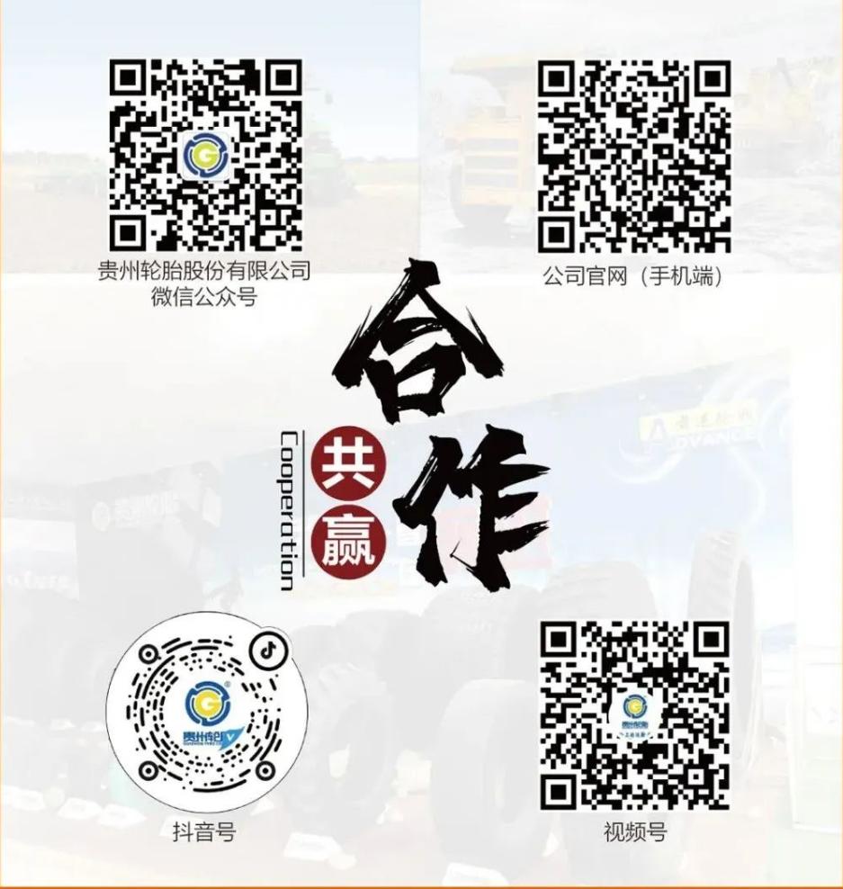 9.9权益,九大权益