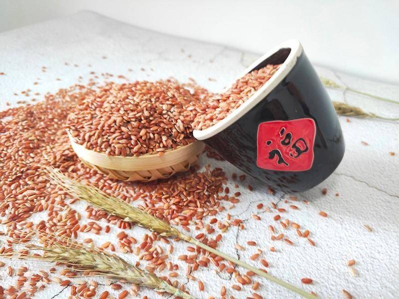 种植海水稻有什么好处,海水稻好吃还是难吃