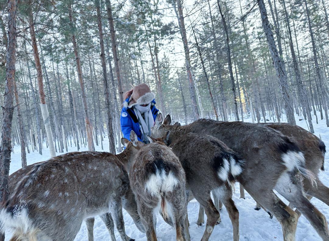 去哪看极光最好的地方,去哪里看极光最好的地方