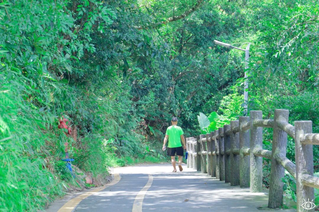 深圳十条景美徒步路线推荐,深圳水库徒步路线图