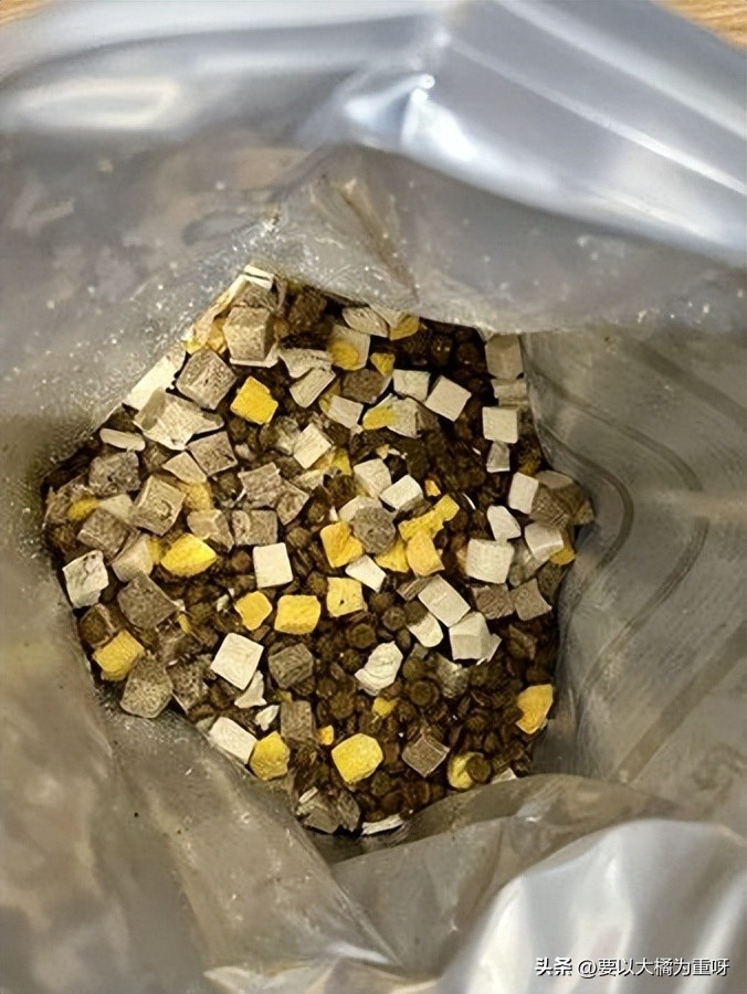 什么牌子的泰迪幼犬狗粮最好,什么牌子幼犬泰迪狗粮好