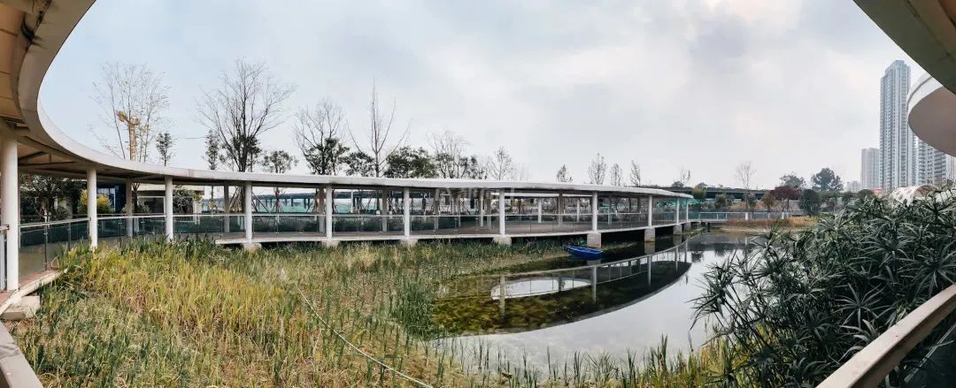 成都成华体育公园,成都成华区体育公园