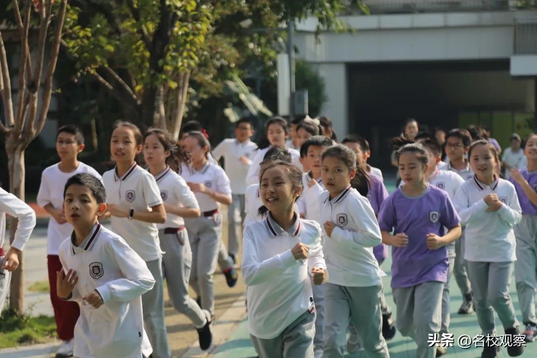 鎹锋姤棰戜紶纭曟灉绱疮,浼樼瀛﹀瓙鎹锋姤棰戜紶