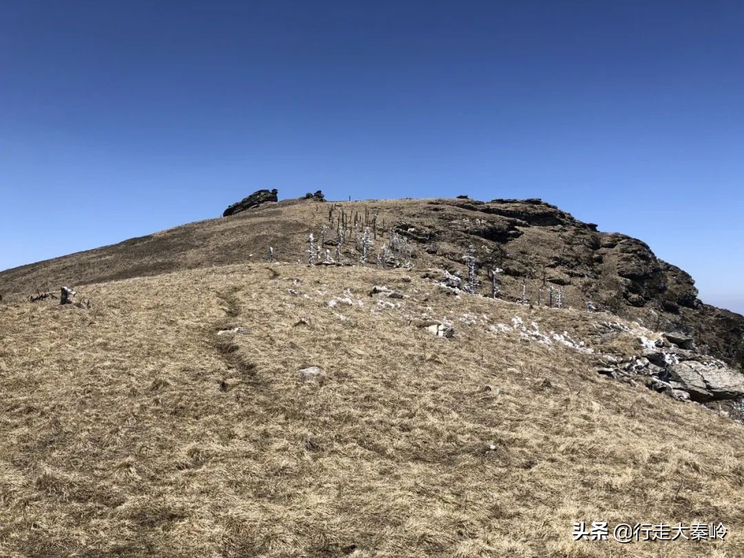 「36」脚踩光头一轮日心骋鹿角生净土——2020.04.12一日光鹿穿越