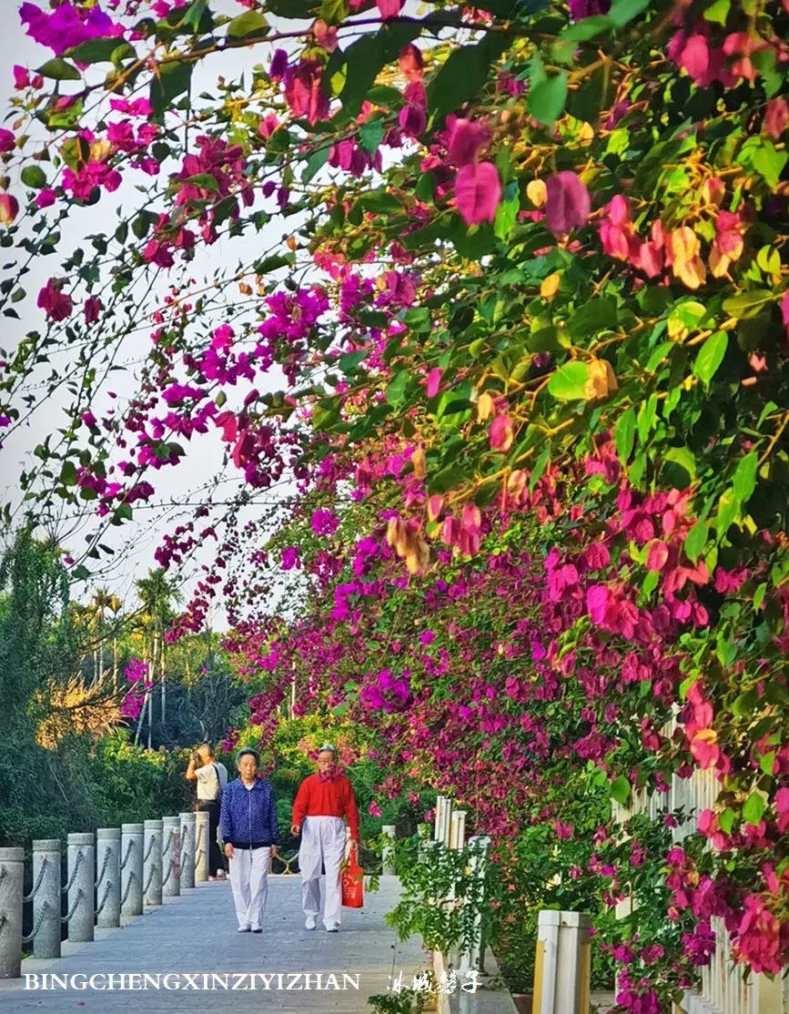 旅居海南：九所新区的浪漫情