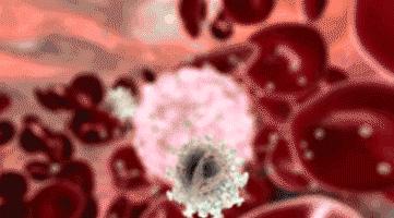 为什么有些人汗味特别重,有的人汗味很重有的人没有汗味