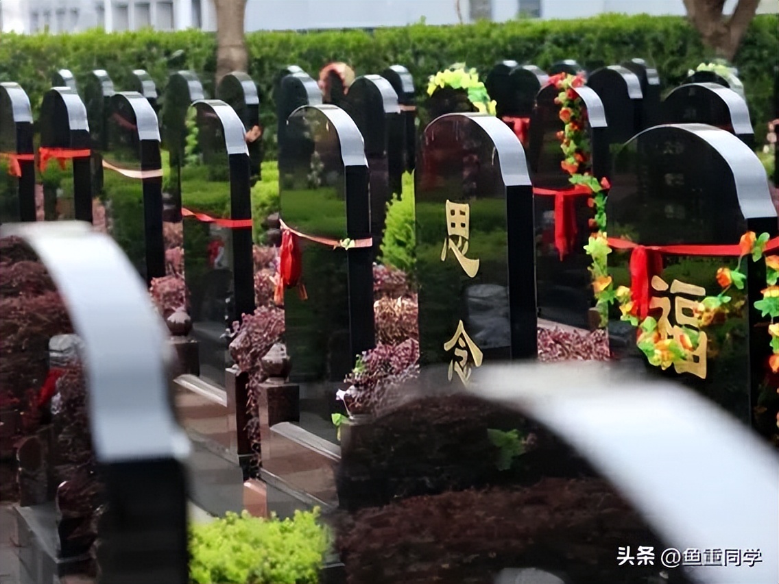 今年闰三月清明节可以扫墓吗,清明节哪六种人不适合上坟扫墓