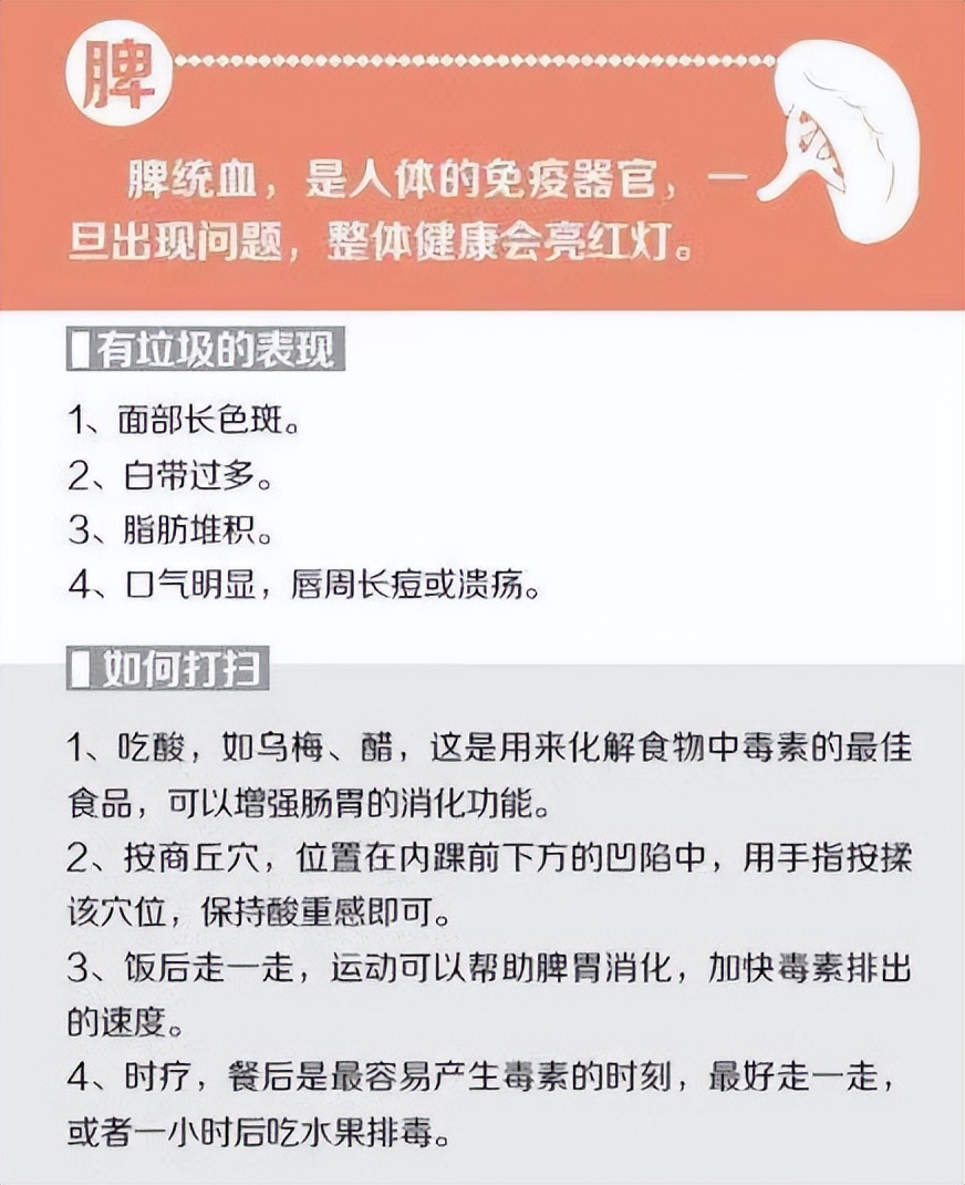 最全的中医五脏六腑的功能介绍,中医专家讲解五脏六腑视频