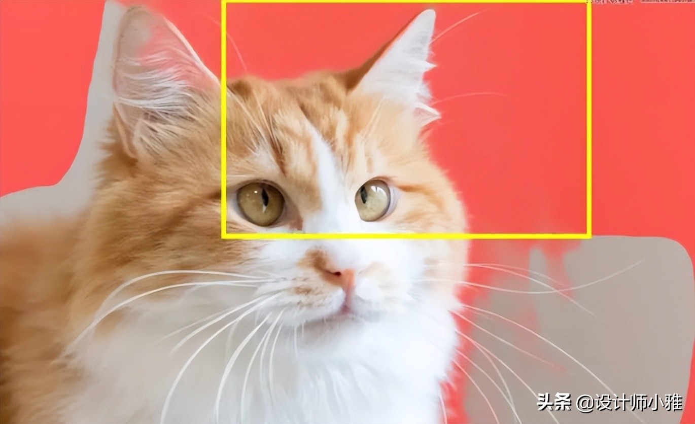 ps抠图技巧ps高级精细抠图方法,用photoshop软件抠图有哪些抠图方法