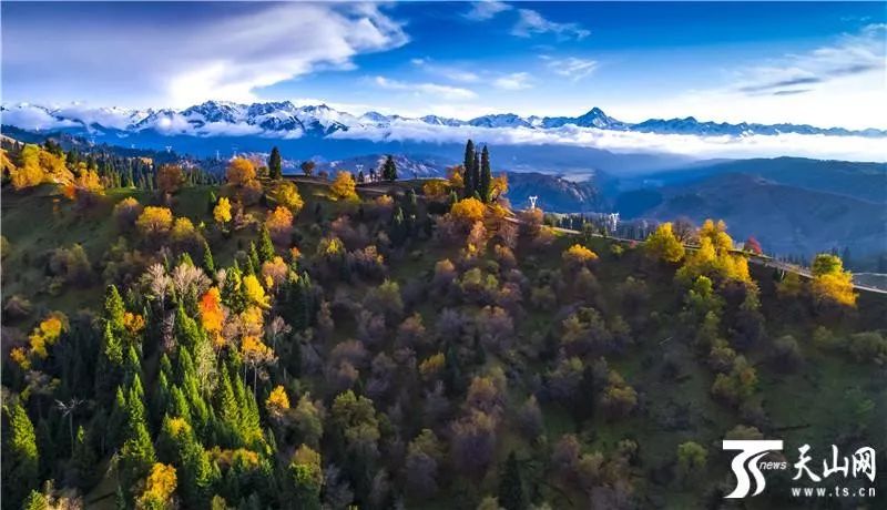 火了！新源又火了！全国瞩目，未来发展不可估量！为你的家乡比心