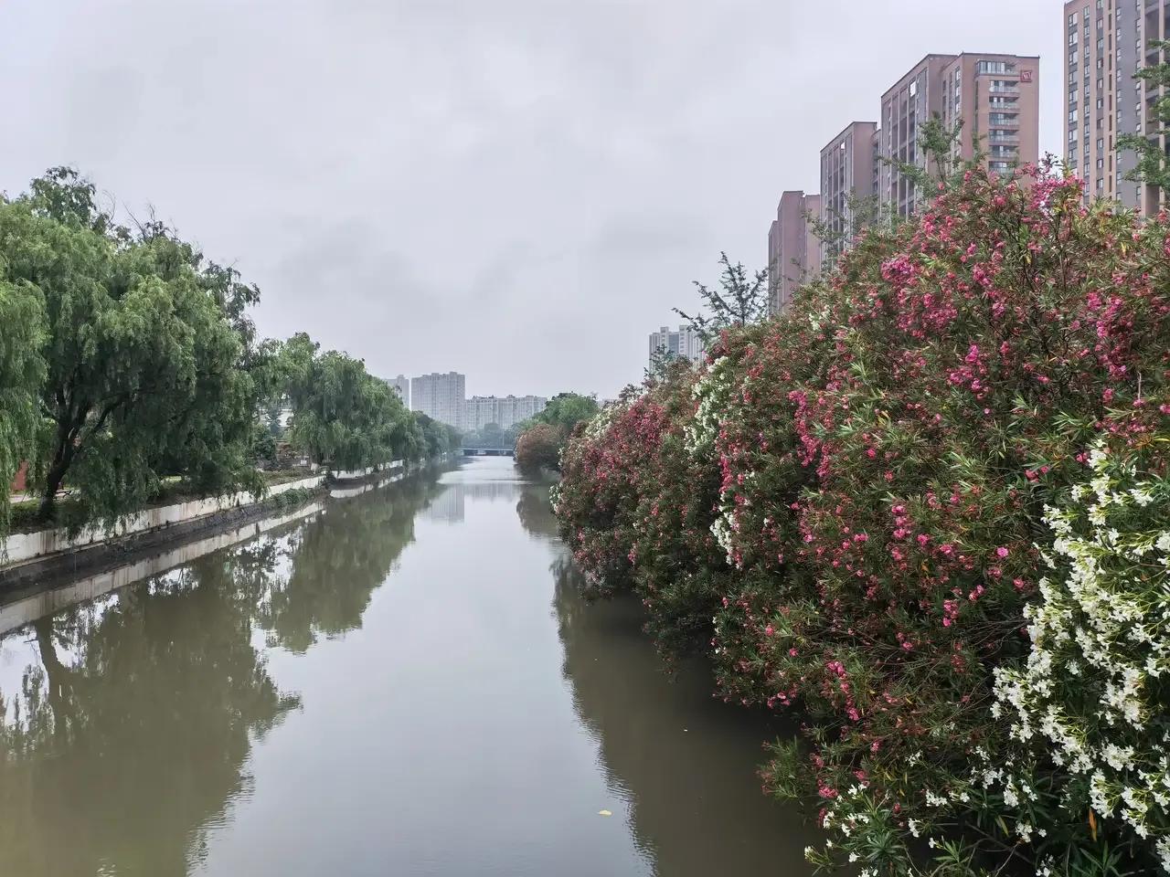 组织设计案例,组织设计培训