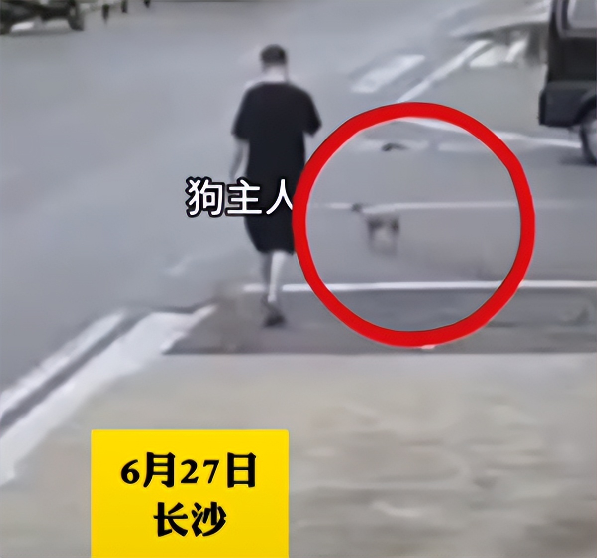 骑车被狗咬了要赔偿吗,狗把车咬了保险公司赔不赔