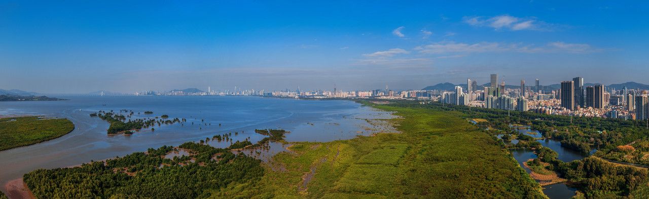 “网络名人看深圳”云启幕！抖音达人、媒体大号都来了