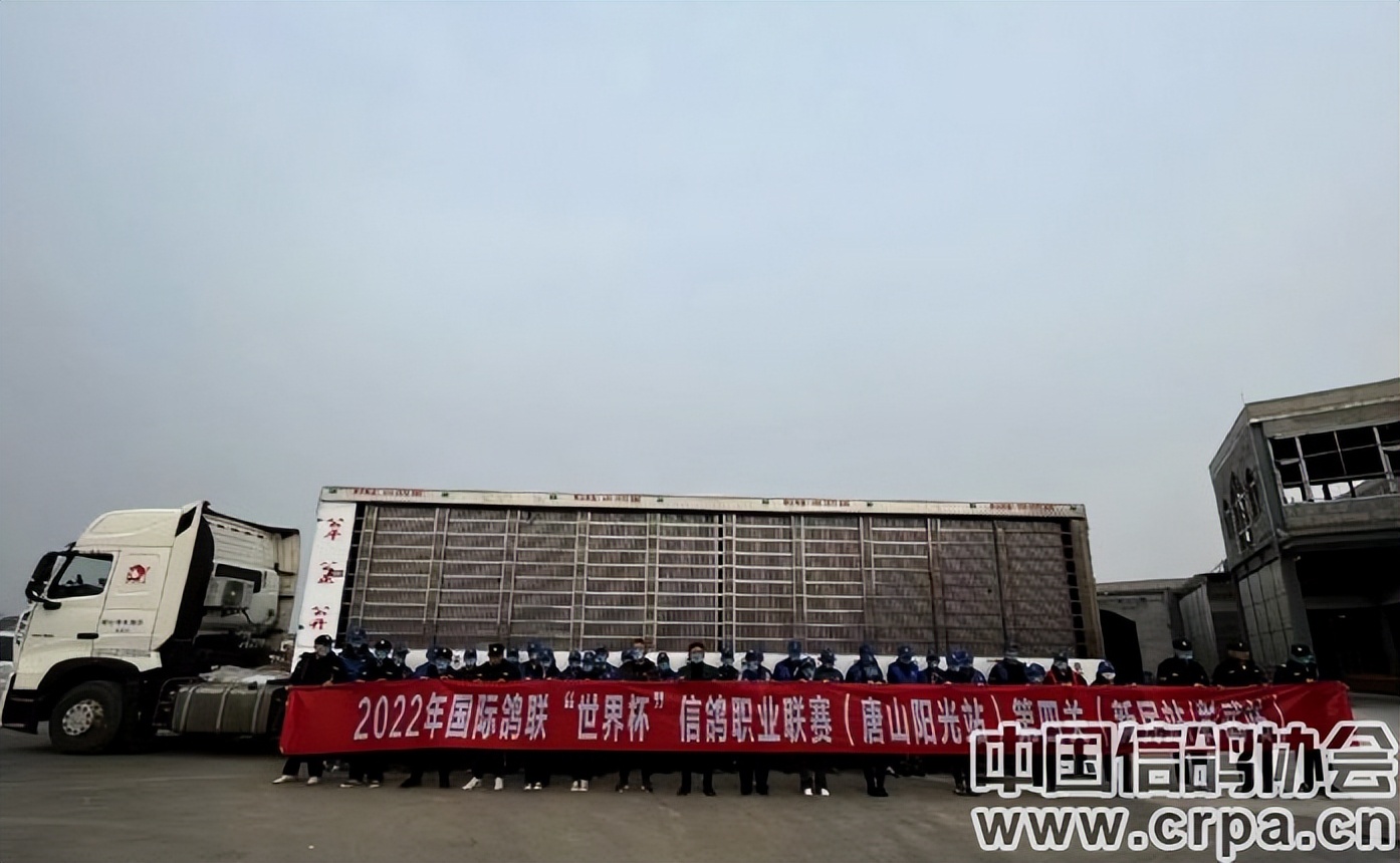 高分速高归巢！“世界杯”唐山阳光站第四关500公里比赛圆满收官