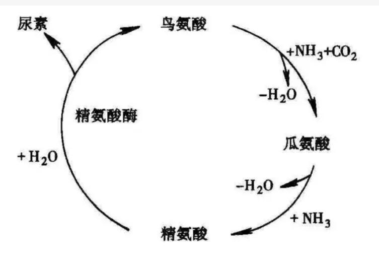 脱除有机硫为什么要用高压法,脱硫去除氯离子的办法