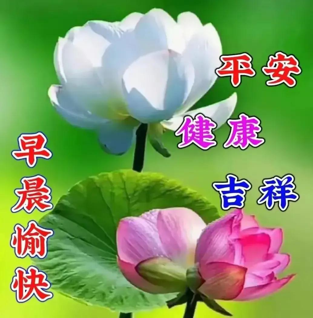 庚子日柱2023年癸卯年运势,癸卯年2023年哪个月出生最好