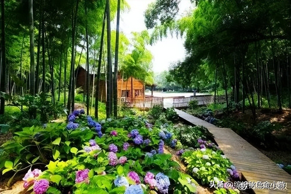 湘湖一日游攻略必去景点有哪些,湘湖旅游景点里面有什么好玩的