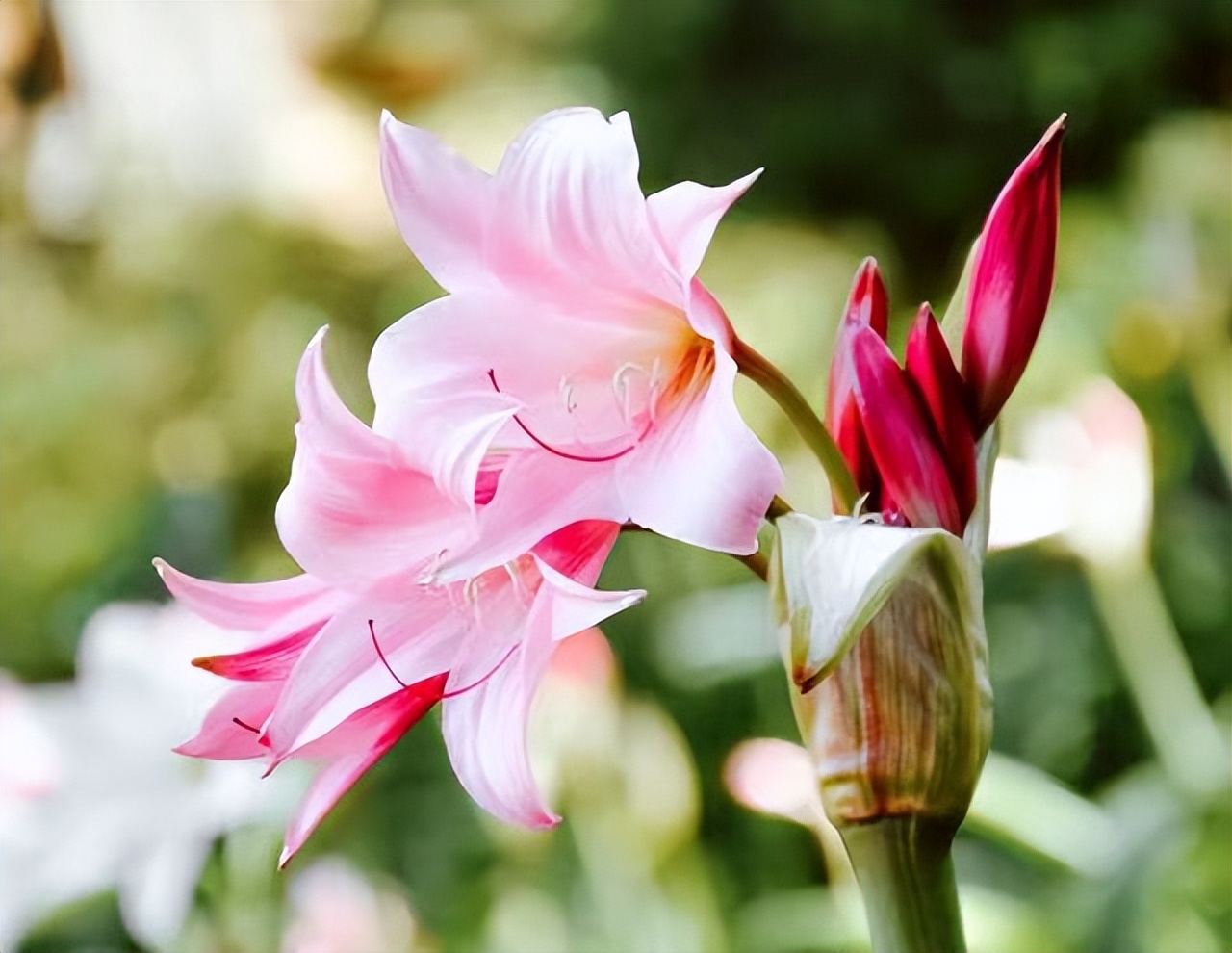 暧昧后说做朋友的都是烂人,和暧昧过的人不可以再联系