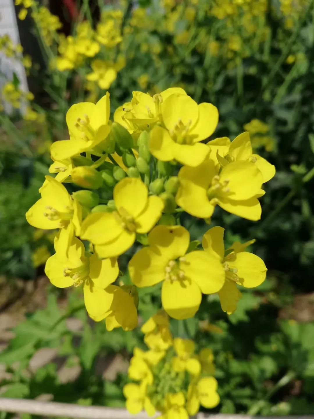 宜君记散文,宜君编年史