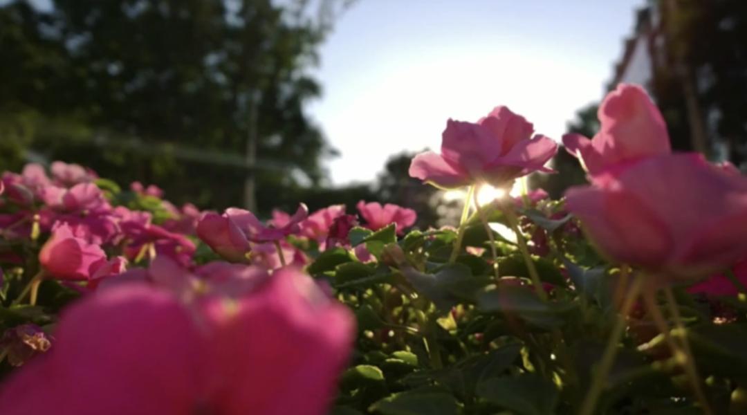 手机相机1:1和4:3的区别,手机相机的前后镜头有什么区别