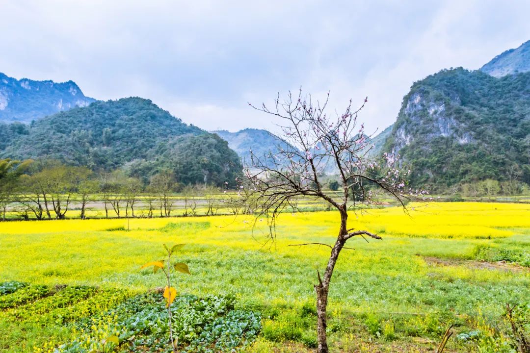 打飞的都要去坐的动车,怎么每站都这么好看