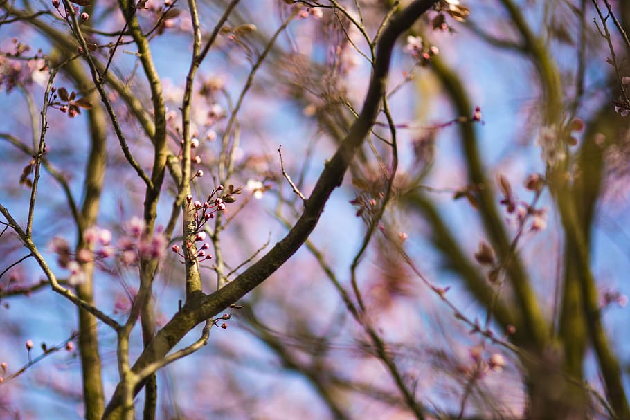 2023年是兔年也是双春年,2023年双春年为什么有些人倒霉