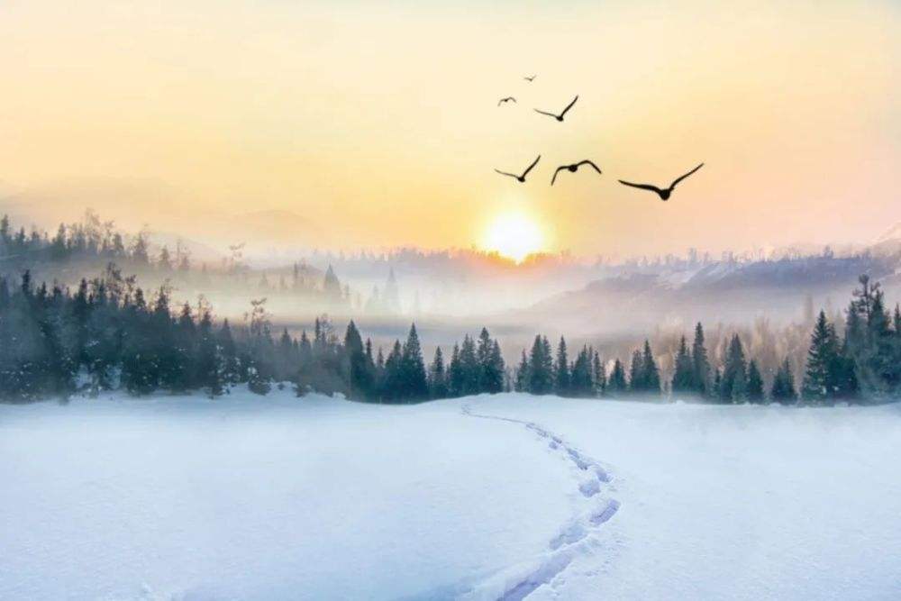 “冬至西北风，来年干一春”，明年收成怎么样？冬至这天有预示