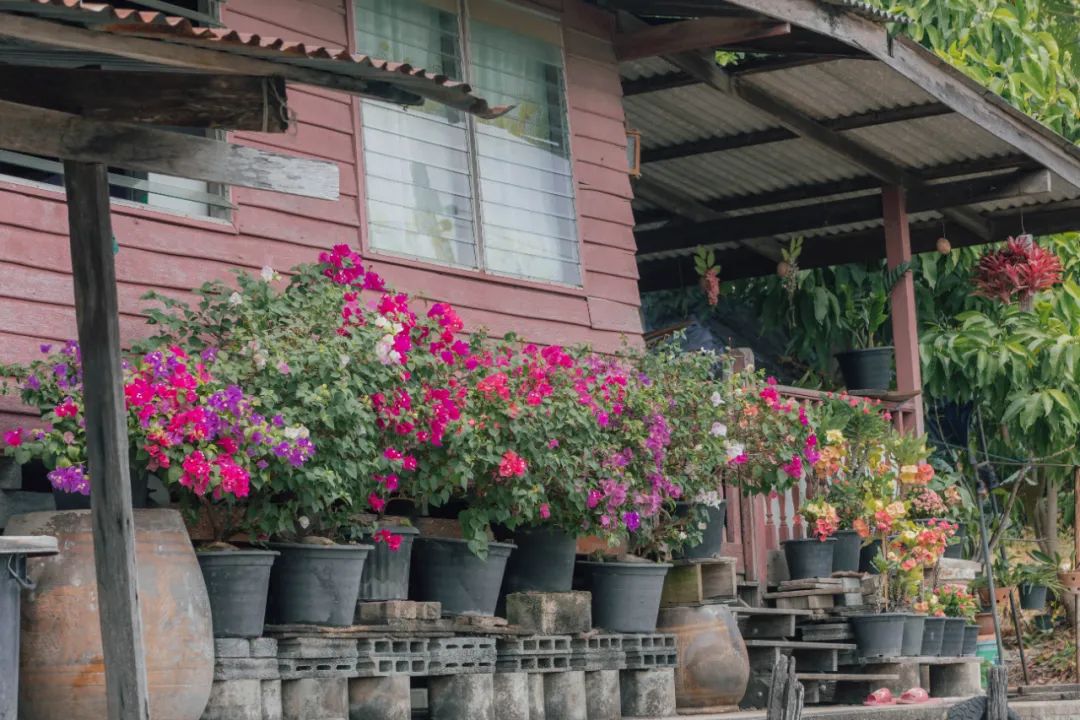 大数据推给想去泰国的朋友，万字长文玩转曼谷芭提雅