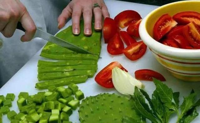 仙人掌养了20多年,最丰产的仙人掌