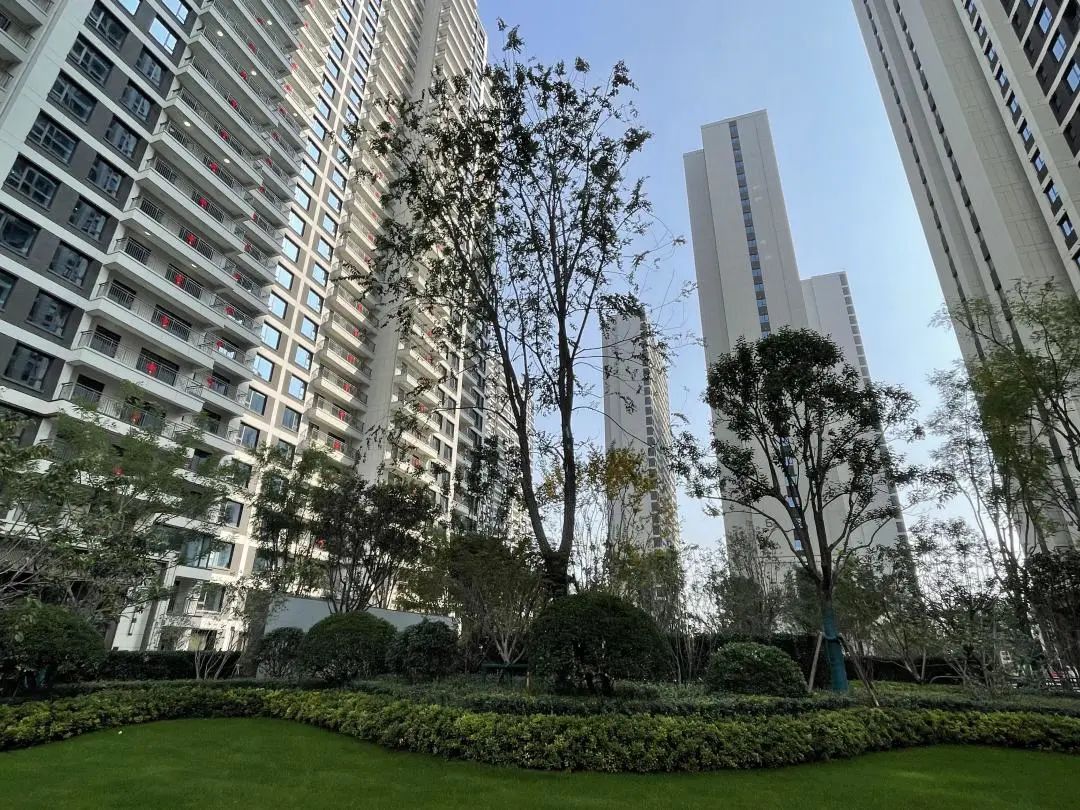 验房金地如期交付,金地2025年交房靠谱吗