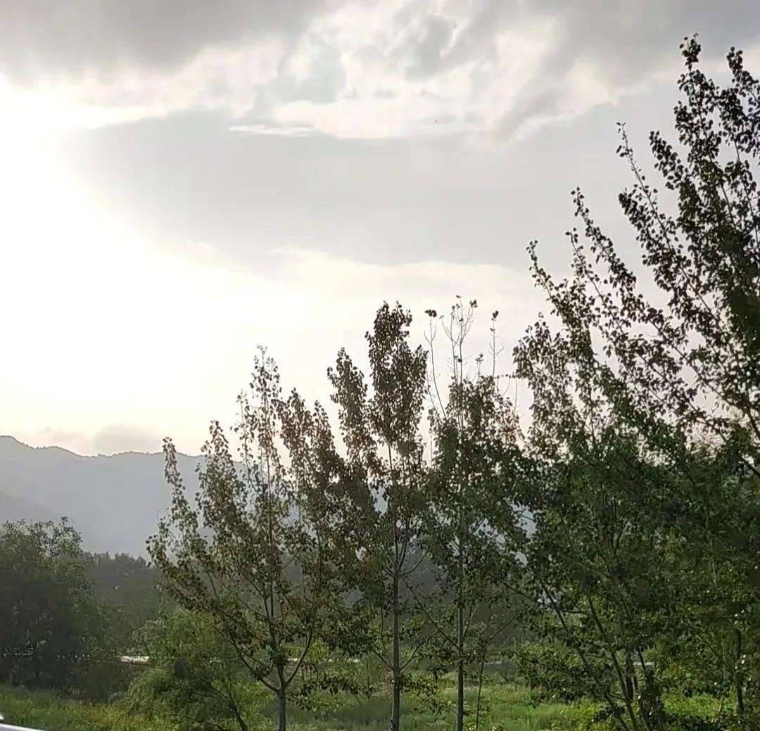 关山牧场旅游攻略厦门,关山牧场旅游攻略现在有门票吗