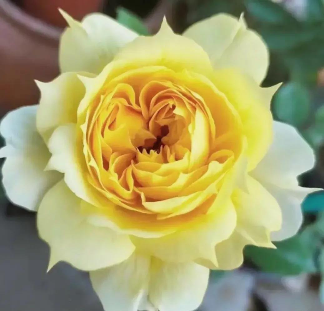 头条新手创作注意事项,头条创作注意哪些事项