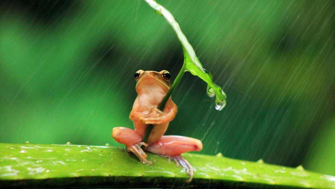 苏轼三则寓言故事,关于苏轼的幽默小故事50字